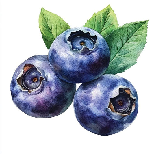 Heidelbeeren - 123 Aromen