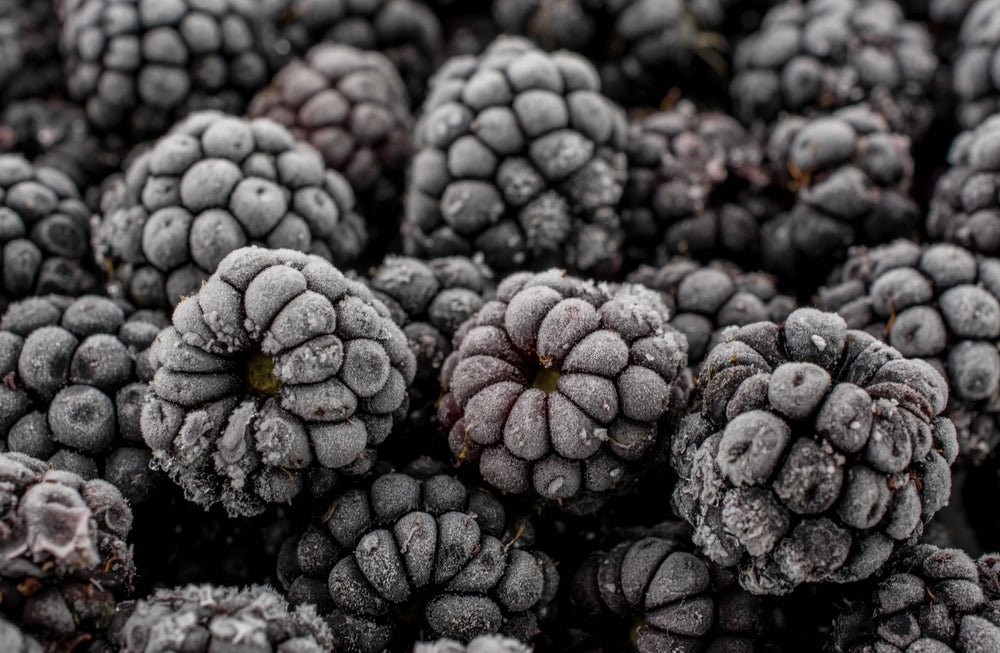 Efrorenen Schwarzwälder Früchten - 123 Aromen