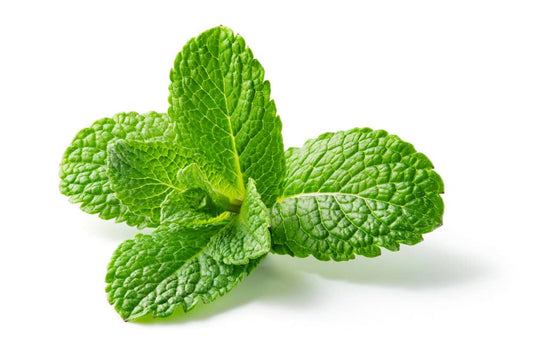 Peppermint - 123 Aromen